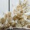 3 pcs Large Dried Palm Leaves Natural Dried Palm Spears Palm Fan Leaves Boho